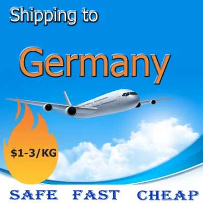 DDU DDP Drop Shipping From China to De/Germany Amazon Fba